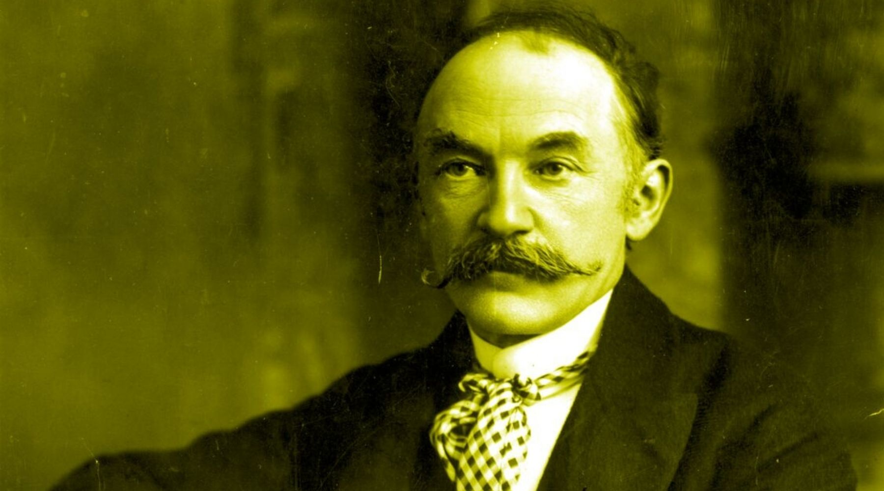 Reconnecting with the countryside: nature and Thomas Hardy