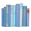 Books By The Foot: Pale Blue Collection