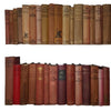 William le Queux Collected Works - 136 Vintage Books / 4 Metres