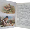 The Birds of the British Isles and their Eggs I & II by T.A. Coward - Warne, 1932-3
