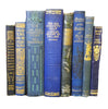 Books by the Foot: Highly Decorative Blue & Gold