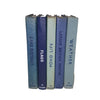 Observer Five Book Blue Collection