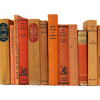 Books By The Foot: Vintage Orange