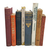 Books By The Foot: Vintage Travel