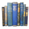 Books by the Metre: Highly Decorative Blue & Gold