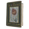 The Sea-Shore Shown to the Children by Janet Harvey Kelman and Rev. Theodore Wood - Jack 1913