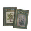 Flowers and Trees by Janet Harvey Kelman (2 Books)