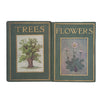 Flowers and Trees by Janet Harvey Kelman (2 Books)