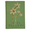 A Book of Wild Flowers by Elsa Felsko - Bruno Cassirer Oxford 1956