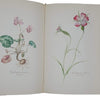 A Book of Wild Flowers by Elsa Felsko - Bruno Cassirer Oxford 1956