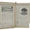 William Cooper Catalogue Copyright Price 2/6