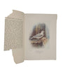 Britain's Birds and Their Nests by A. Landsborough Thomson - Waverley, 1930