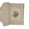 Gardening Illustrated 1883
