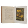 Wild Flowers As They Grow, Vol. II by G. Clarke Nuttall