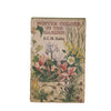 Winter Colour in the Garden by E. C. M. Haes - The Garden Book Club, 1965
