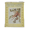 Flower Fairies of the Spring by Cicely Mary Barker - Blackie