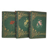 Familiar Wild Flowers by F. Edward Hulme, First-Third Series - 3 Books