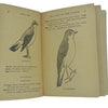 British Birds and How to Name Them by Colonel J. S. F. Mackenzie - Holden & Hardingham