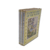 Cicely Mary Barker's Flower Fairies , Wayside, Spring, Summer (3 Books)