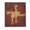 Aunt Louisa's Zoological Gardens - Frederick Warne