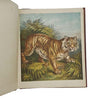 Aunt Louisa's Zoological Gardens - Frederick Warne