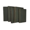 John Ruskin Collected Works - George Allen, 1890-5 (5 Books)