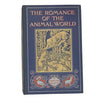 The Romance of the Animal World by Edmund Selous - Seeley 1907