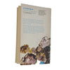 Over Sea, Under Stone by Susan Cooper - Puffin 1968