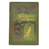Wild Animals and Birds - W. P Nimmo 1897
