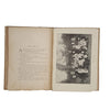 The Baba Log - A Tale of Child Life in British India by the Rev. J. M. Macdonald - David Nutt, 1897