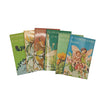 Cicely Mary Barker's Flower Fairies 6 Book Collection