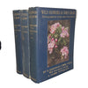 Wild Flowers As They Grow by H. Essenhigh Corke and G. Clarke Nuttall - Cassell, 1911 (3 Volumes)
