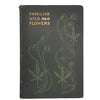 Familiar Wild Flowers Seventh Series by F. Edward Hulme - Cassell, 1902