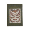 Common British Moths by A. M. Stewart, 1913