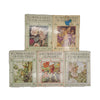 Cicely Mary Barker's Flower Fairies 5 Book Collection