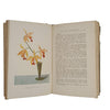 Orchids by H. J. Chapman - Watson and Chapman, 1903