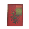 Last Days of Pompeii by Lord Lytton - The Booksellers