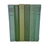 Louisa May Alcott's Little Women Series (6 Green Books)