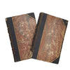 Charles Dickens' Little Dorrit and Martin Chuzzlewit 1858-9 (2 Books)