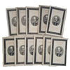 The Penguin Shakespeare - 11 Books