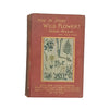 How To Study Wild Flowers by George Henslow - RTS, 1911
