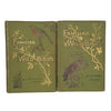 Familiar Wild Birds Volumes 1-2 by W. Swaysland - Cassell, 1883 (2 Books)