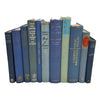 Book By The Foot: Blue Collection