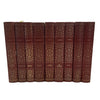 Russian Literature - Brothers Karamazov Etc. (19 Books)