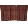 Russian Literature - Brothers Karamazov Etc. (19 Books)