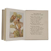 Flower Fairies of the Autumn by Cicely Mary Barker - Blackie, c.1950s