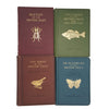 Life of the Birds, Butterflies, Fishes, Beetles of the British Isles - Warne, c.1950 (4 Books)