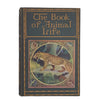 The Book of Animal Life by Thora Stowell - Harrap, 1935, 1st Edition