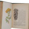 Familiar Wild Flowers by F. Edward Hulme (4 Books)