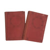 Leo Tolstoy’s Anna Karenina in 2 volumes - Nelson (2 Books)